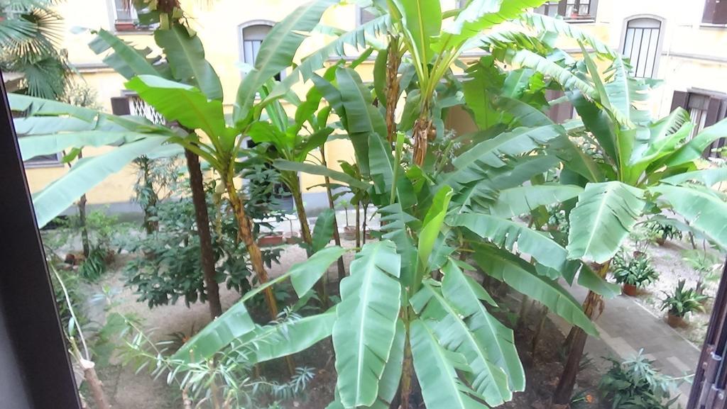 Bed And Breakfast Adduci'S House Ρώμη Εξωτερικό φωτογραφία